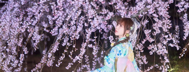 櫻花人像分享(一)  京都御苑 及 京都府植物園 之夜櫻拍攝