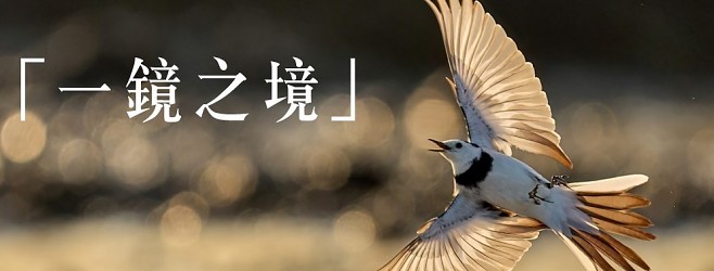 「一鏡之境」FE 400-800mm F6.3-8 G OSS 試用與分析