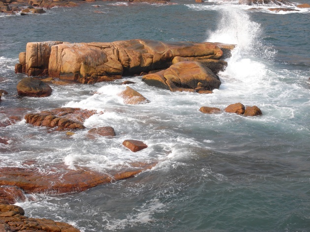 Ricoh Caplio GX100 样本照片库