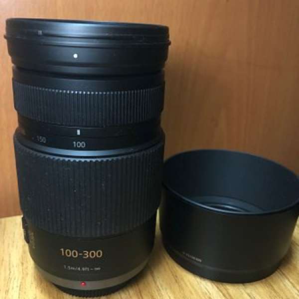 panasonic lumix g vario 100-300mm / f4.0-5.6 / mega o.i.s - dcfe