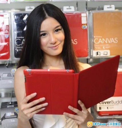 原裝iPad 2/3/4保護套switcheasy canvas case