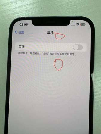 iPhone 12 Pro Max 256g 有光點 有中文