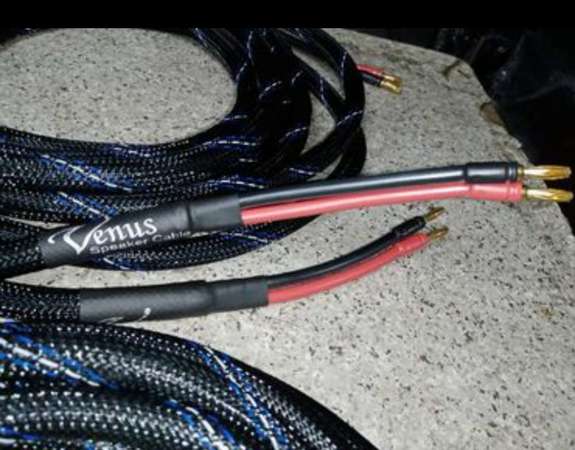 Venus speaker cable 3.9米1對 蕉頭