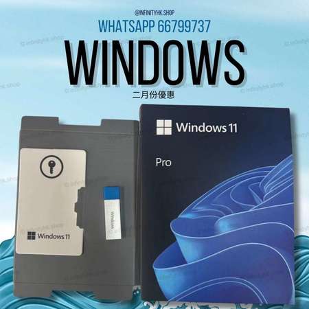 Microsoft Windows 10 win10 Windows 11 Win11 專業版家 用版企業版 Professional (Pro)Home