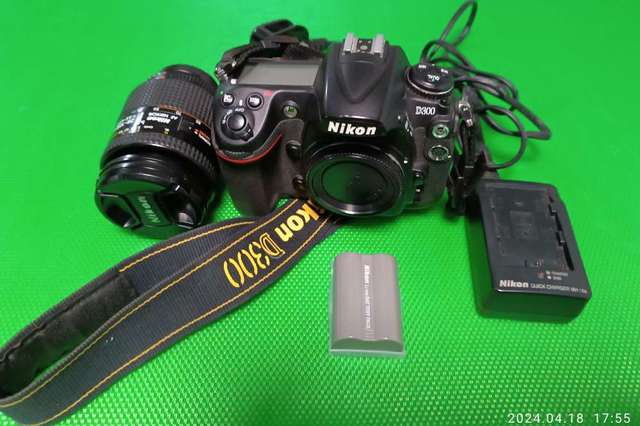 Nikon D300 + Nikon AF 28-105 3.5-4.5D  Macro