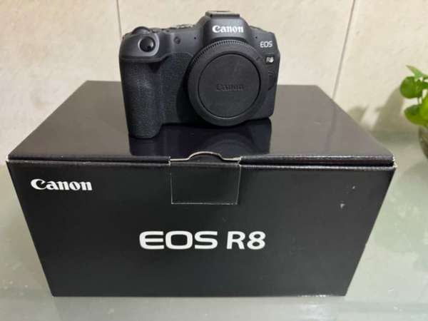 Canon EOS R8 Body 淨機身 送迷你相機袋