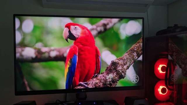 LG 27" 4k ultrafine HDR400 monitor 27UP600-W