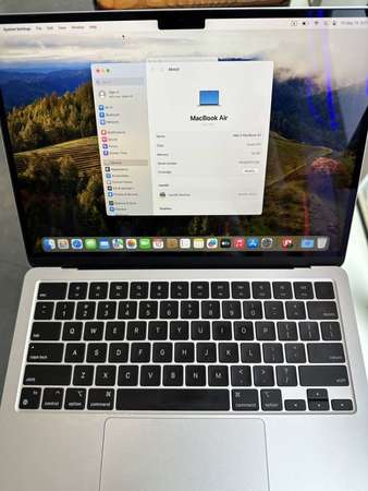MacBook Air m2 256 16GB Ram 銀色 100%電池健康度, 有小花