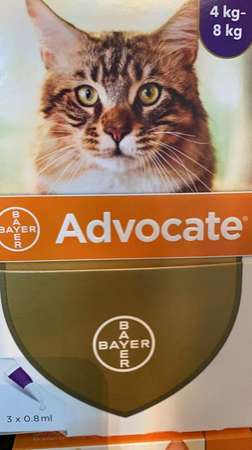 Bayer Advocate for cat