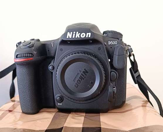 Nikon D500 body / Nikon 70-200mm(小黑6) / Nikon 16-80mm