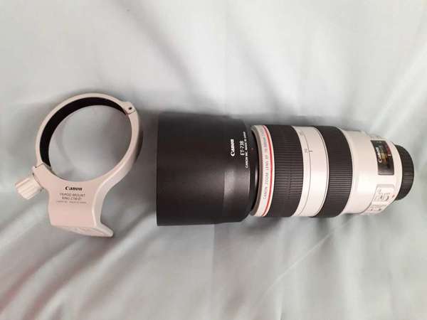 Canon EF 70-300mm f/4-5.6L is usm