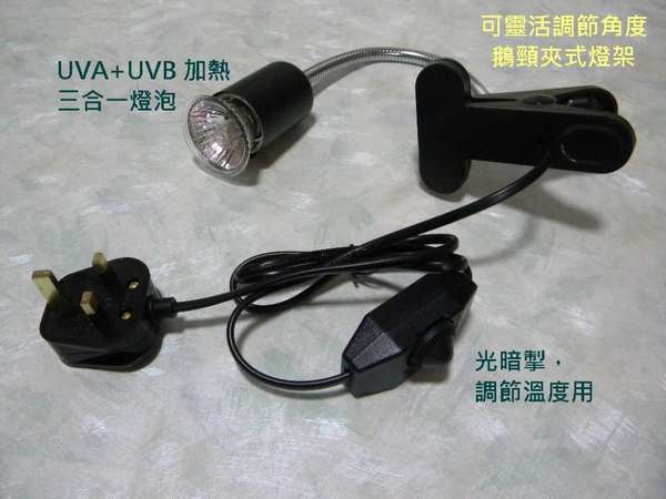 50W烏龜曬背燈 UVA+UVB 加熱三合一設計 可調校光暗/溫度及角度
