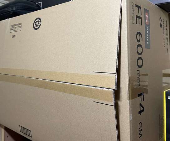 Sony FE 600mm F4 GM OSS (684)