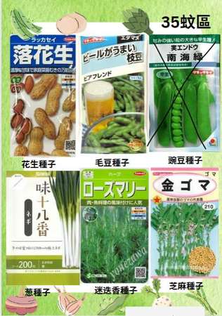 日本種子 冬瓜種子 茄子種子 玉米種子 大根種子 迷你番茄種子 葱種子 豌豆種子 迷迭香種子 芝麻種子 花生種子 毛豆種子