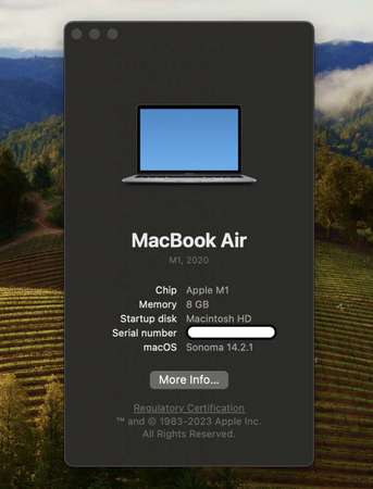 港版MacBook Air 2020 13吋 M1 256GB 8GB Ram