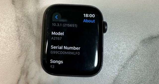 Apple Watch Series 5 44mm LTE可上網