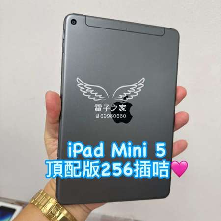 (電子專家 ipad mini 5)  😍Apple ipad mini 5 mini 6 256 香港行貨 wifi 插卡版 cellular sim